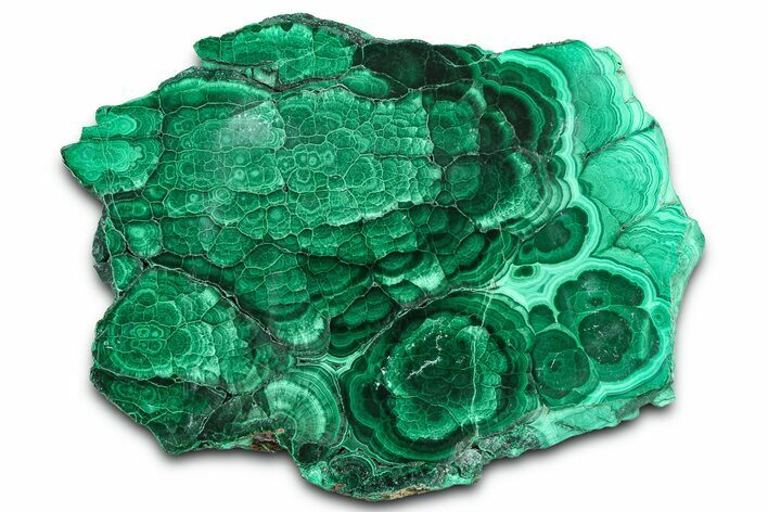 Flowery Polished Malachite Slab - DR Congo #360532